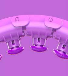 Lazy thin waist weight loss circle (Color: Purple)